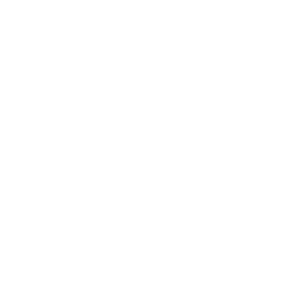 America First Policy Institute seal